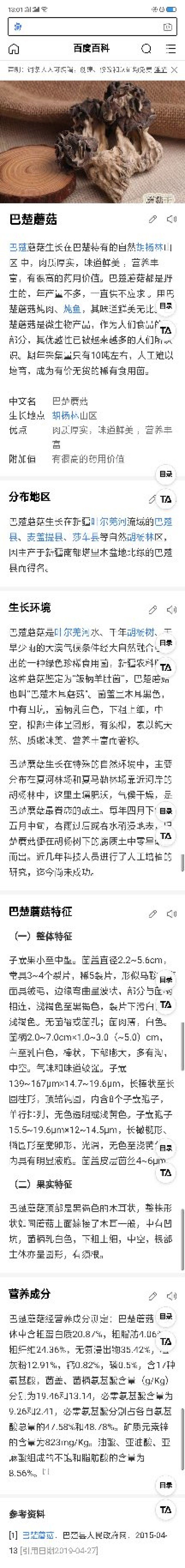 新疆胡杨林野生羊肚菌野生巴楚菇