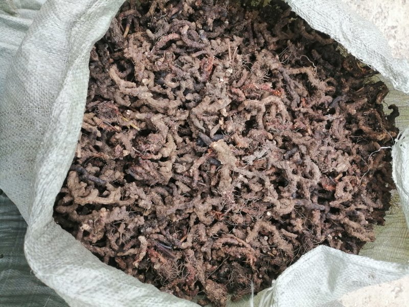 淫羊藿叶，淫羊藿根。
