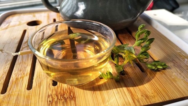 古树普洱茶