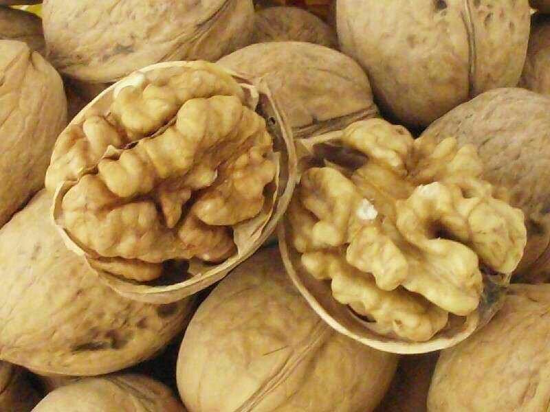 新货新疆薄皮核桃对应抖音快手美团大卖可做包装一件代发