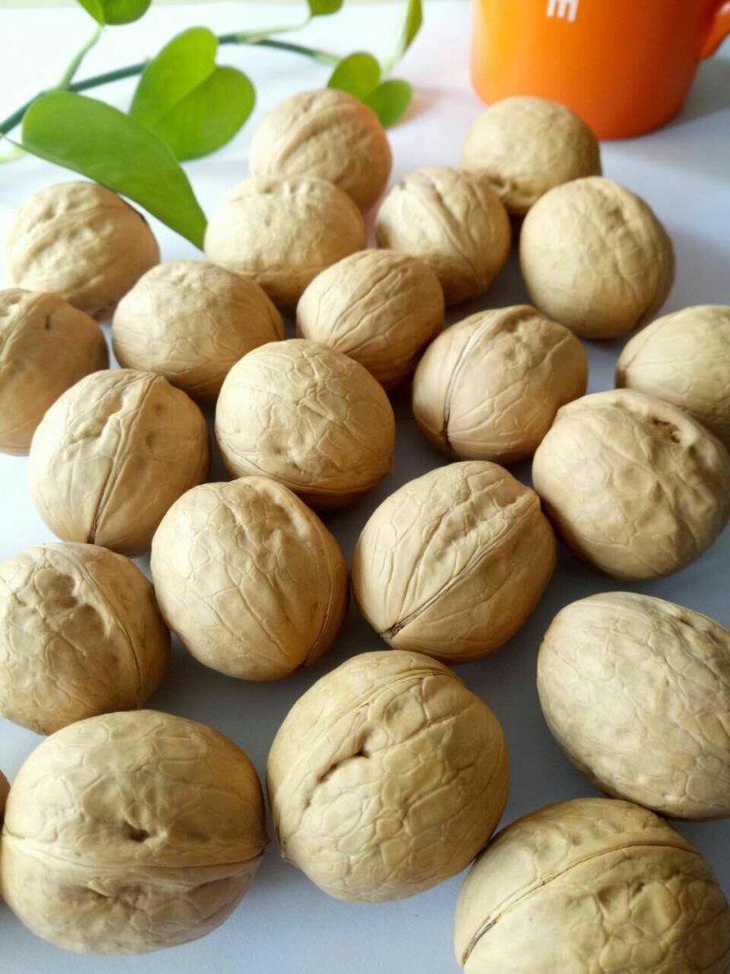 新货新疆薄皮核桃对应抖音快手美团大卖可做包装一件代发