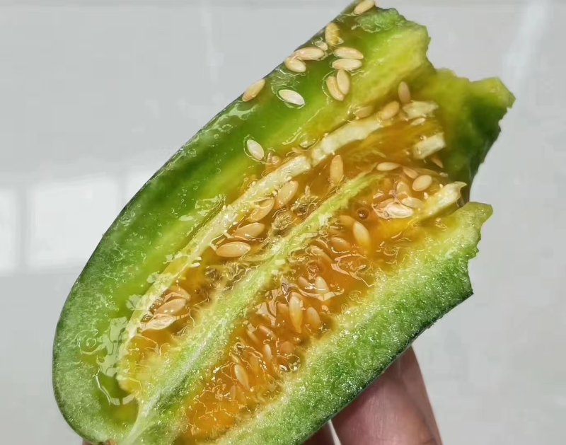 新疆羊角蜜冰糖籽香瓜甜瓜