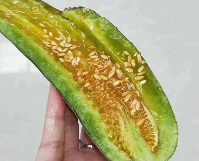 新疆羊角蜜冰糖籽香瓜甜瓜