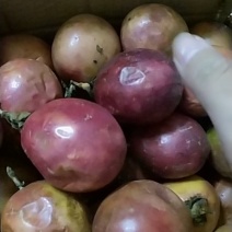 越南百香果