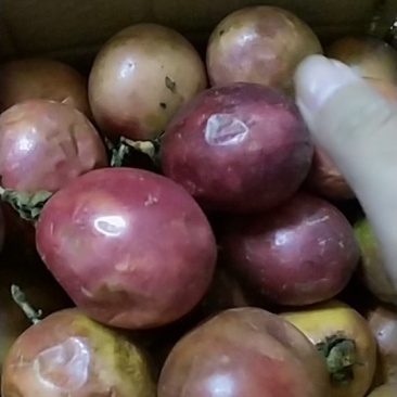 越南百香果