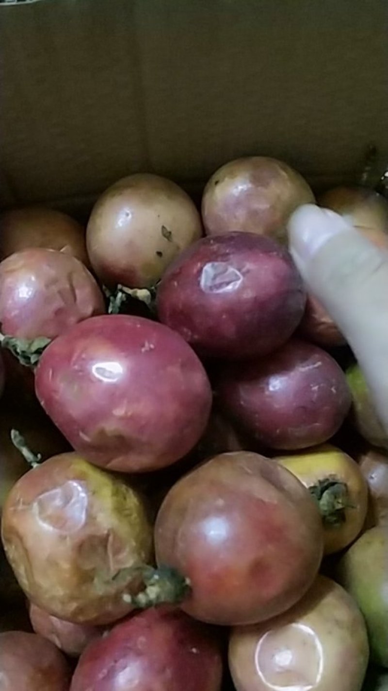 越南百香果