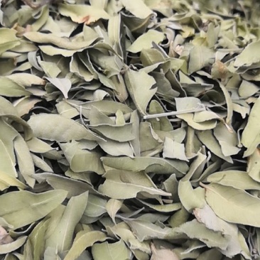 新货罗布麻叶罗布麻茶一斤包邮