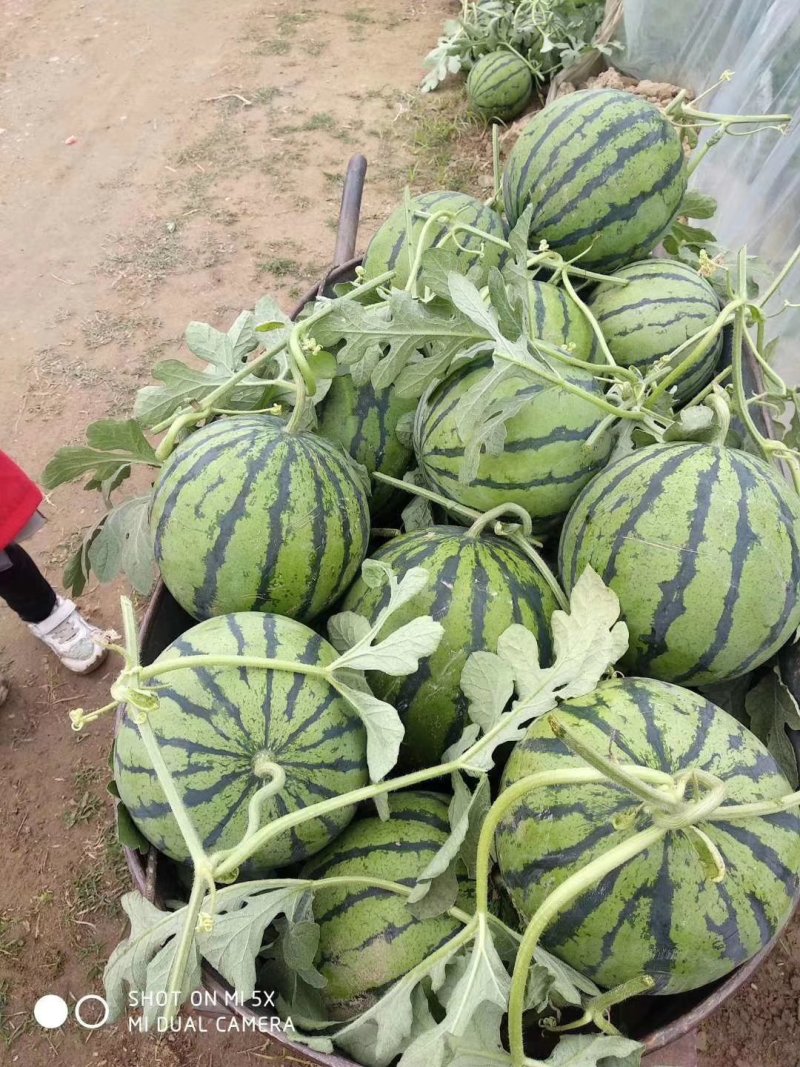 小徐专业的团队，主营，安徽，江苏东台，甘肃，宁夏银川，东