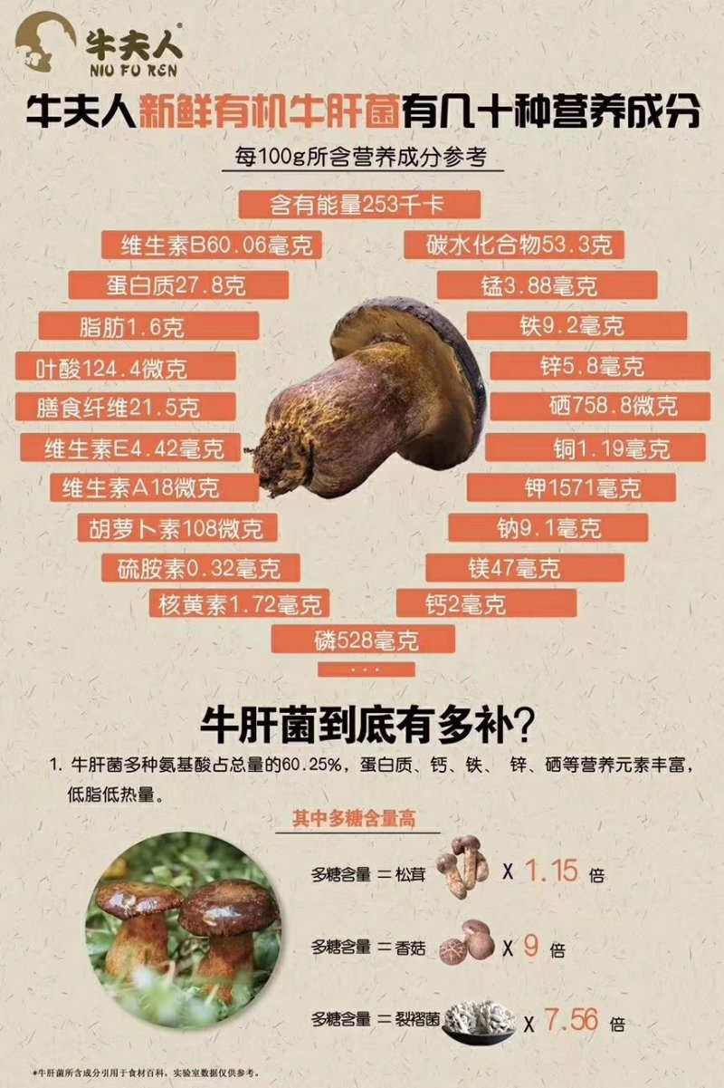 牛肝菌