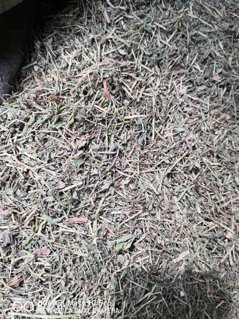 苦地丁干货散装产地直销量大从优欢迎选购