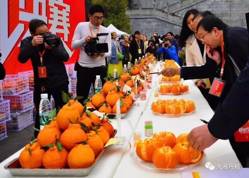 爱媛38号产地一手货源全国大量供应对接一切渠道