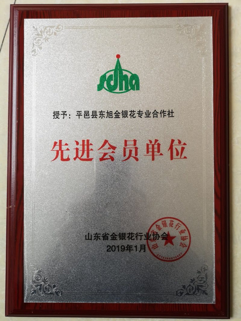 金银花苗百花一号金银花苗开花多，树形好管理