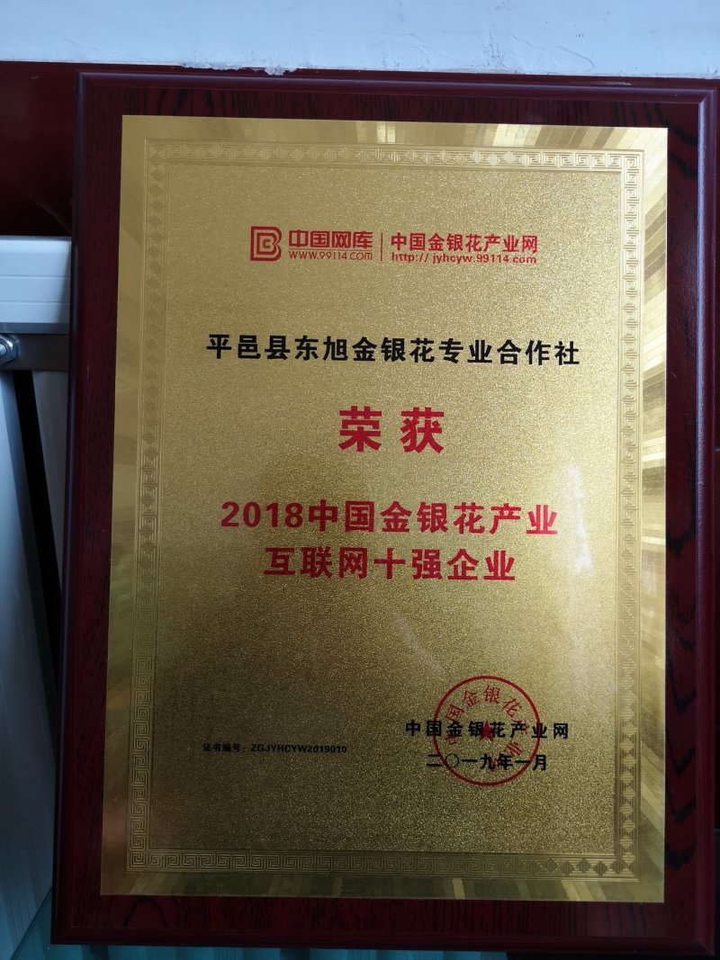 树形四季金银花苗二年移栽大苗花开四次