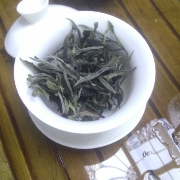 白茶一级白牡丹2018年