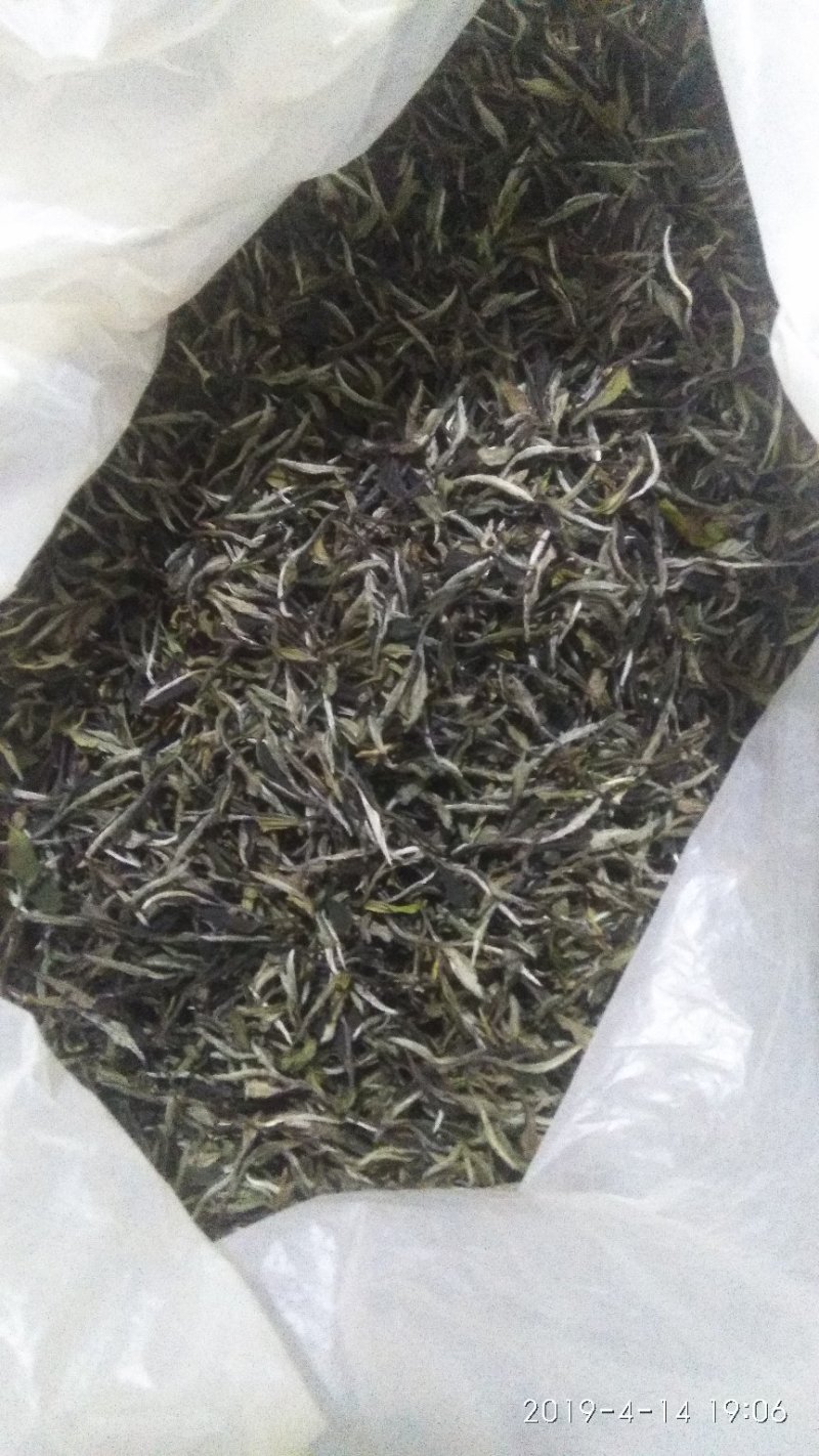 白茶一级白牡丹2018年