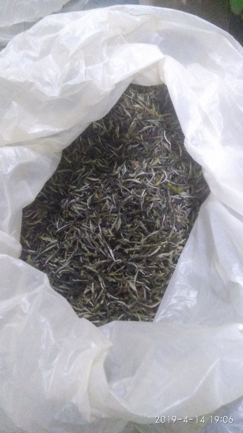 白茶一级白牡丹2018年