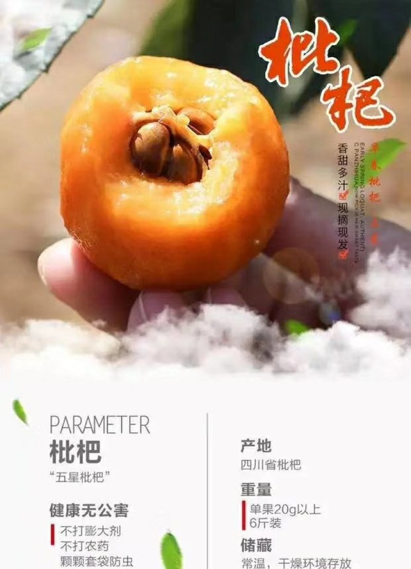 大五星枇杷