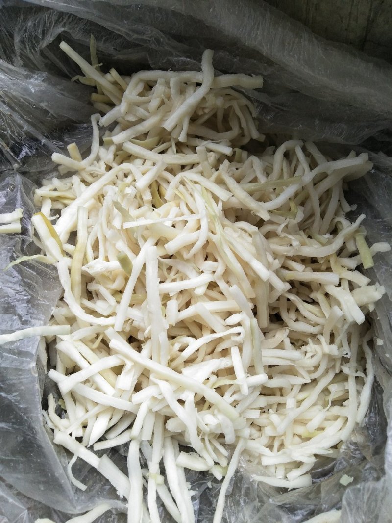 麻竹笋，盐渍笋丝片，盐渍水煮黄丝片，盐渍光头笋尾，干笋丝