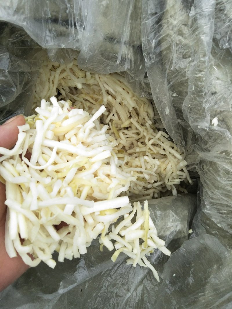 麻竹笋，盐渍笋丝片，盐渍水煮黄丝片，盐渍光头笋尾，干笋丝