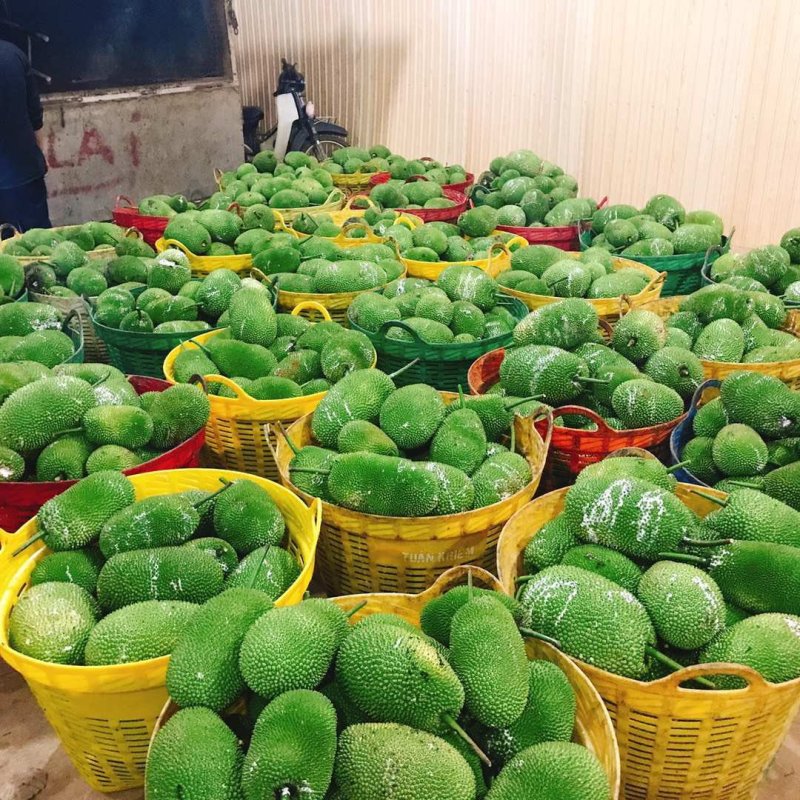 榴莲蜜珍珠榴莲蜜