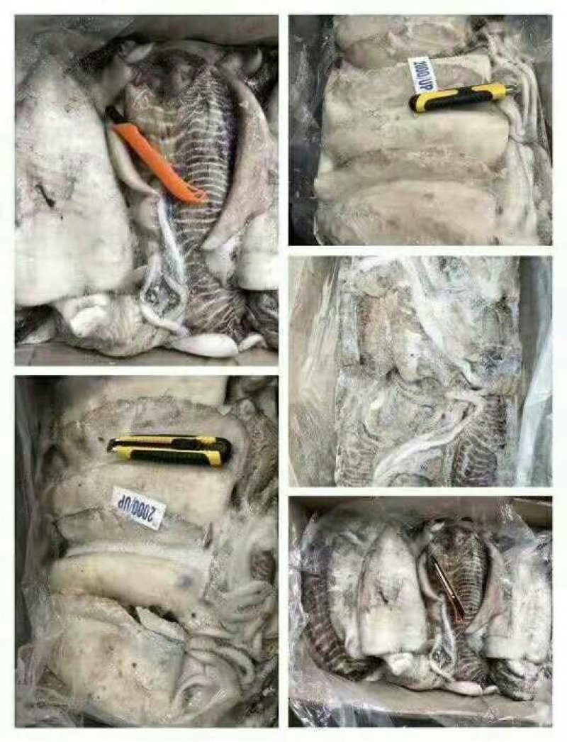 墨鱼，原汁货，大小规格，大小规格齐全，欢迎询价联系