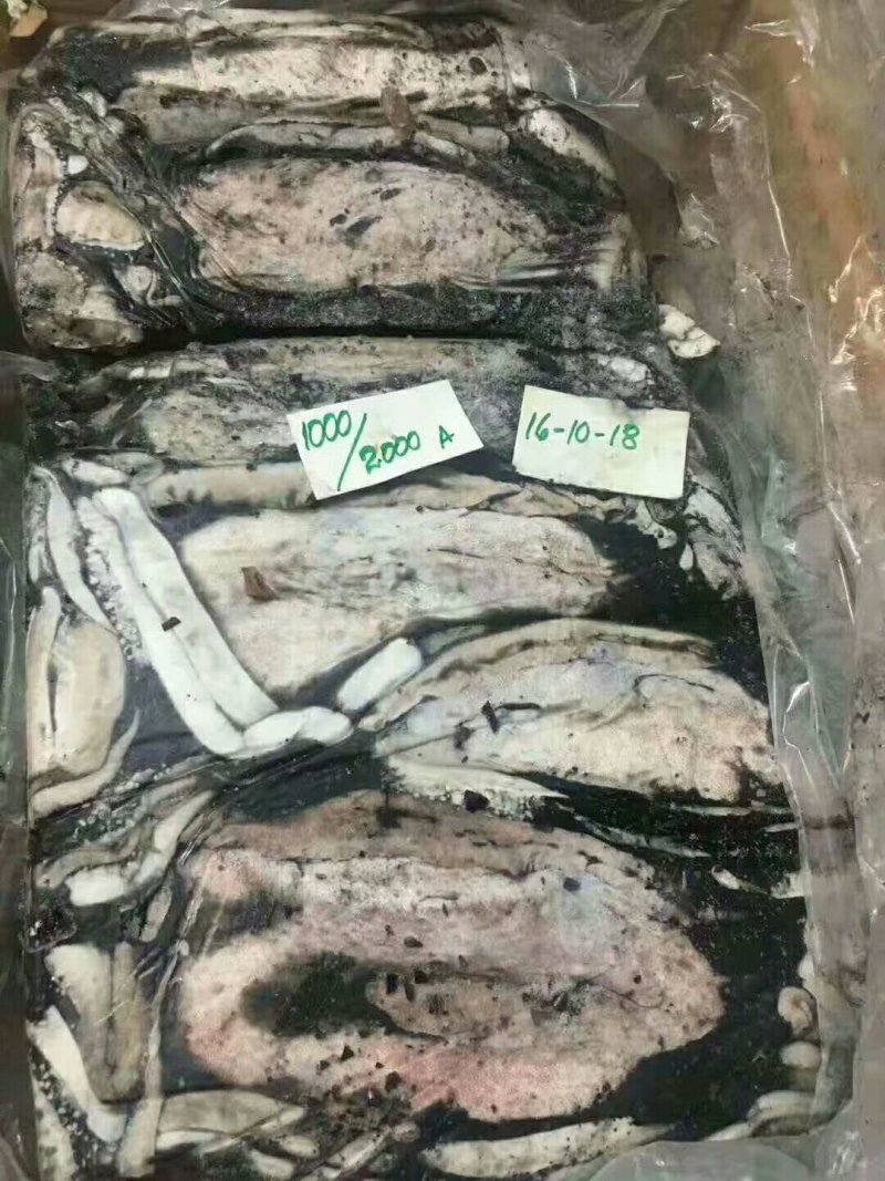 墨鱼，原汁货，大小规格，大小规格齐全，欢迎询价联系