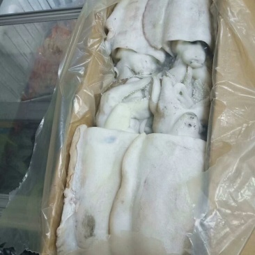 墨鱼，原汁货，大小规格，大小规格齐全，欢迎询价联系