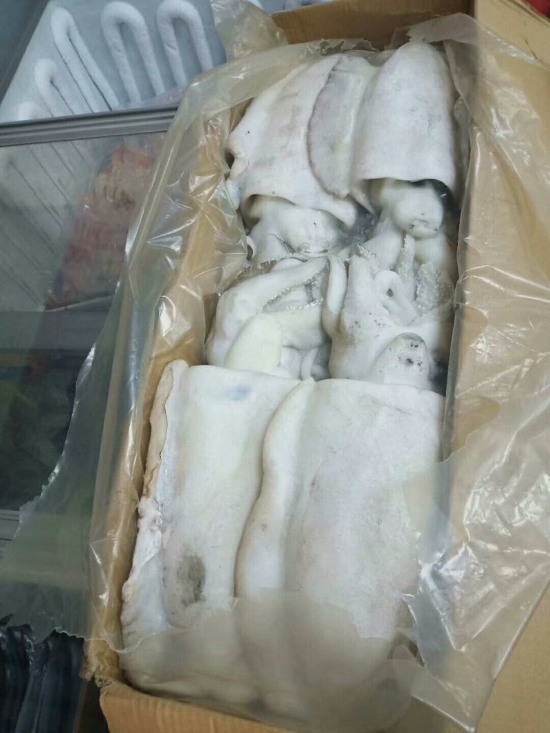 墨鱼，原汁货，大小规格，大小规格齐全，欢迎询价联系