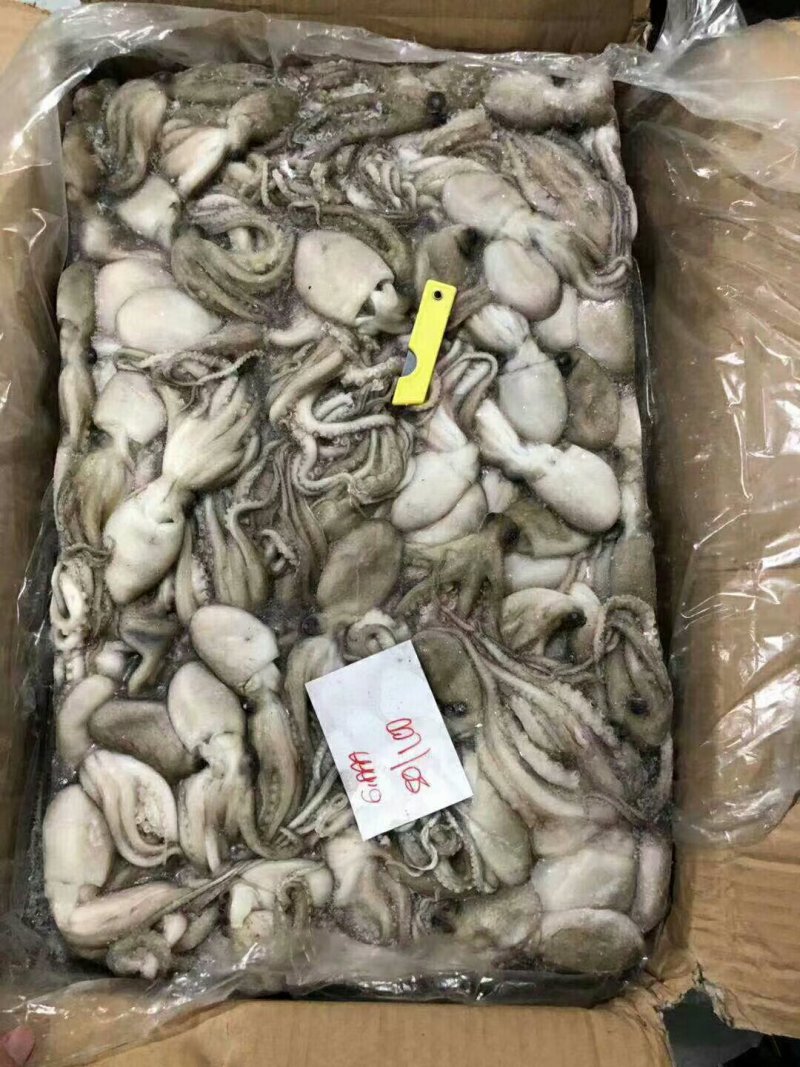 原汁八爪鱼，一箱两板，保质保量，全国各地发货