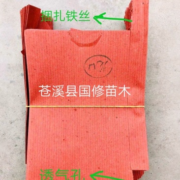 猕猴桃袋果袋猕猴桃套果袋防虫防鸟12X16每件1万个