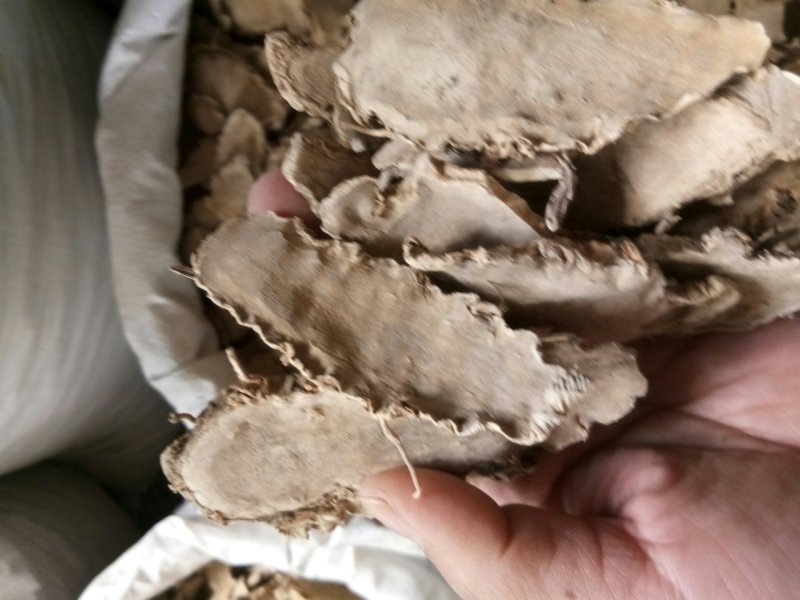 片姜黄福建正品手选大片无黑片干净无杂包邮
