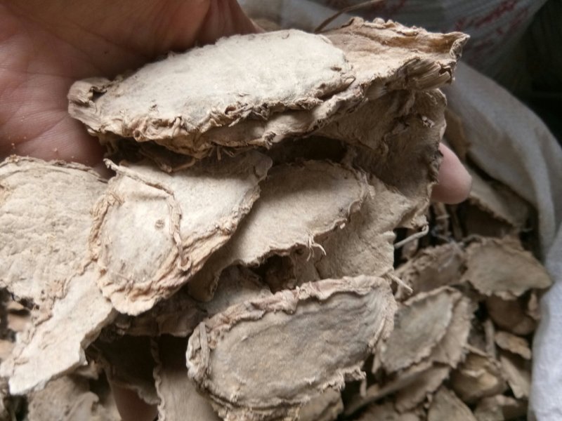 片姜黄福建正品手选大片无黑片干净无杂包邮