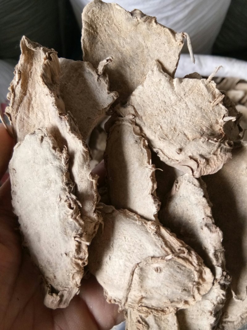 片姜黄福建正品手选大片无黑片干净无杂包邮