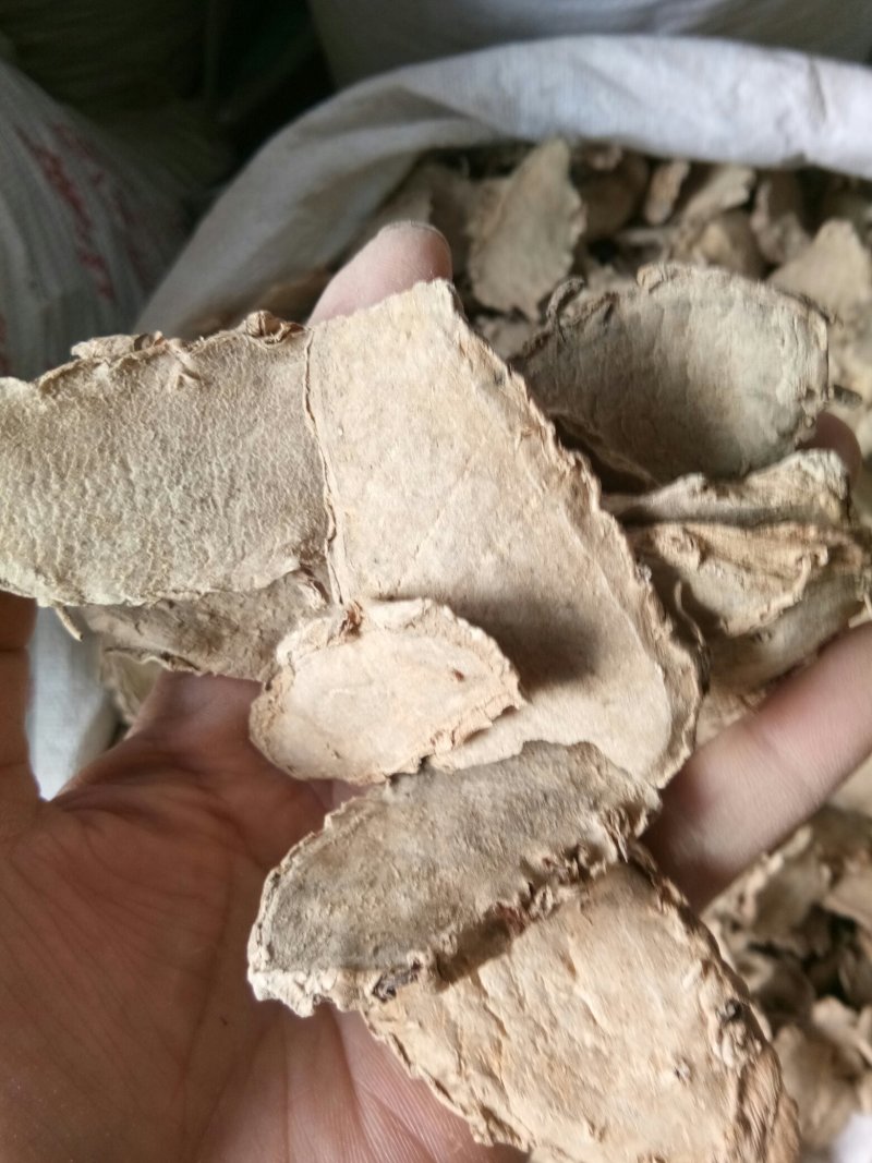片姜黄福建正品手选大片无黑片干净无杂包邮