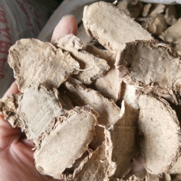 片姜黄福建正品手选大片无黑片干净无杂包邮