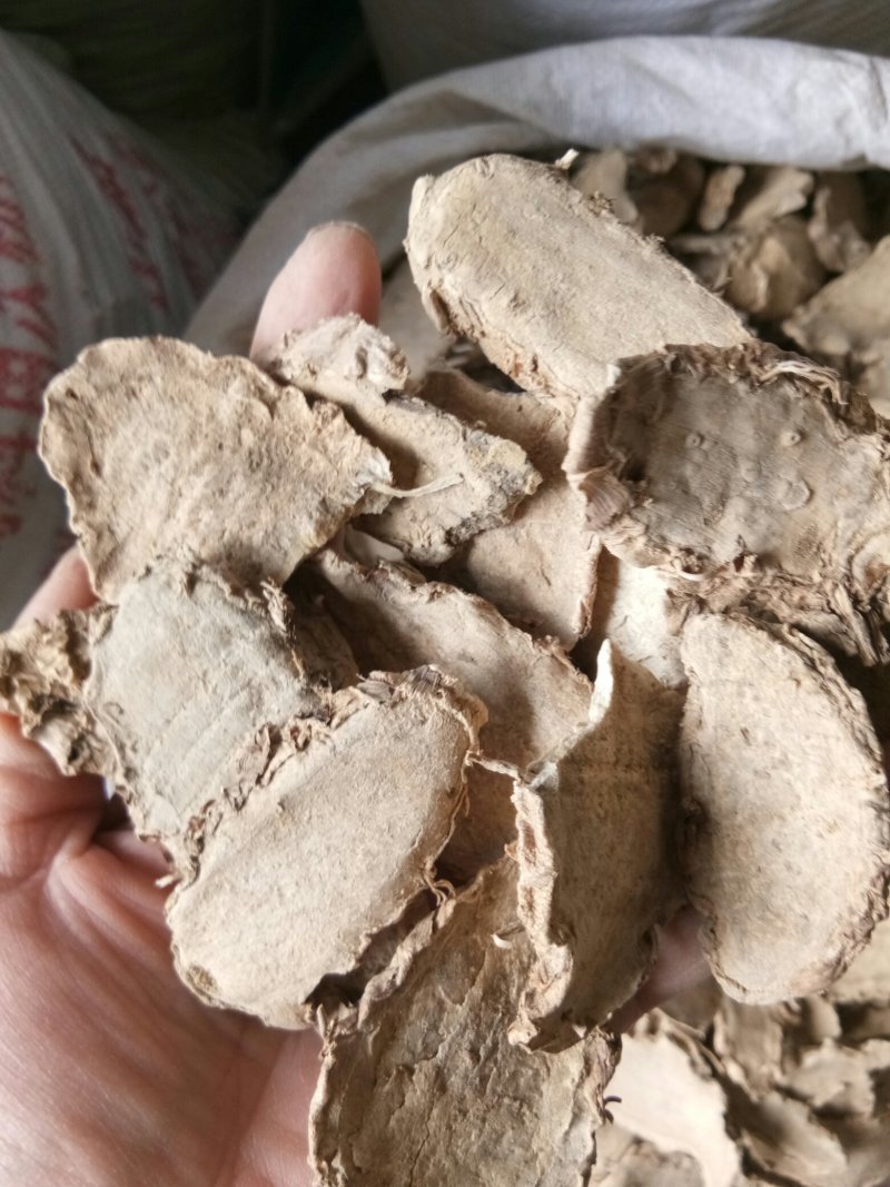片姜黄福建正品手选大片无黑片干净无杂包邮