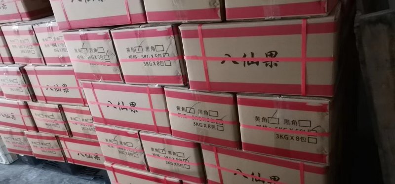化橘红八仙果无硫无添加中药材橘红