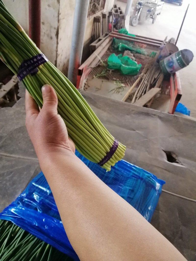 蒜薹