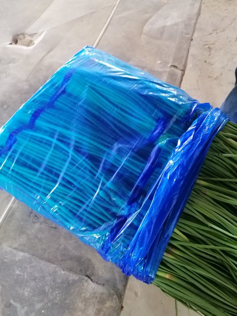 蒜薹