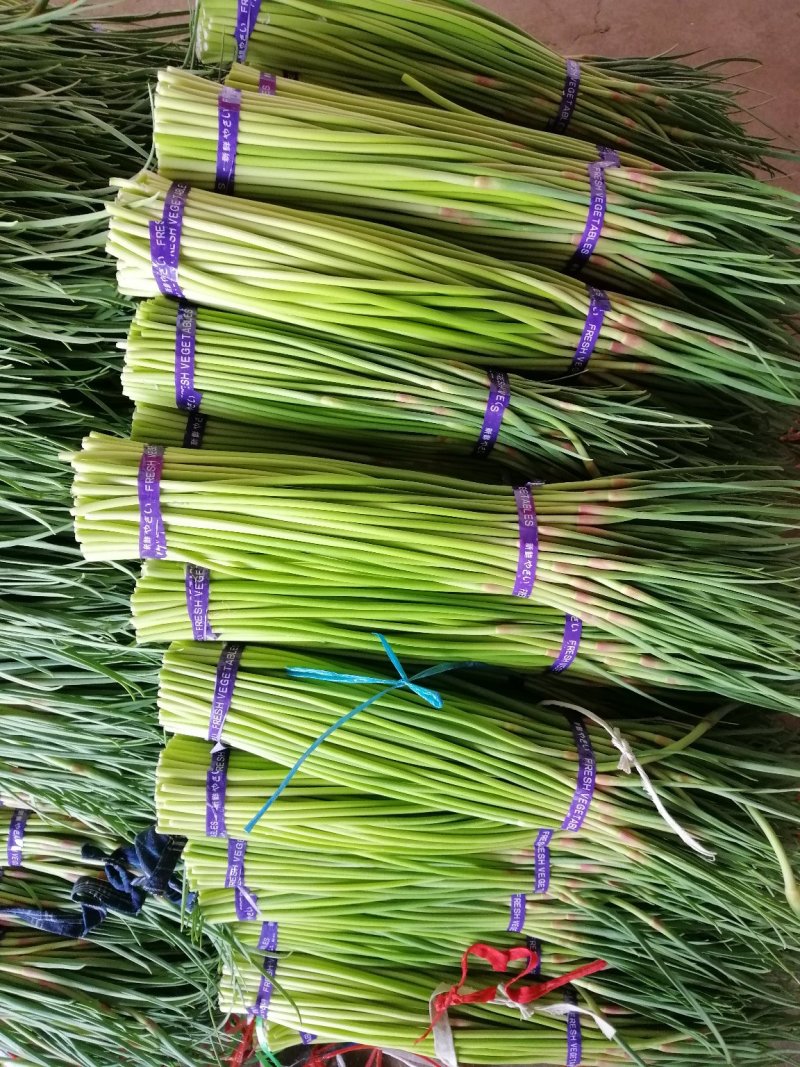 蒜薹