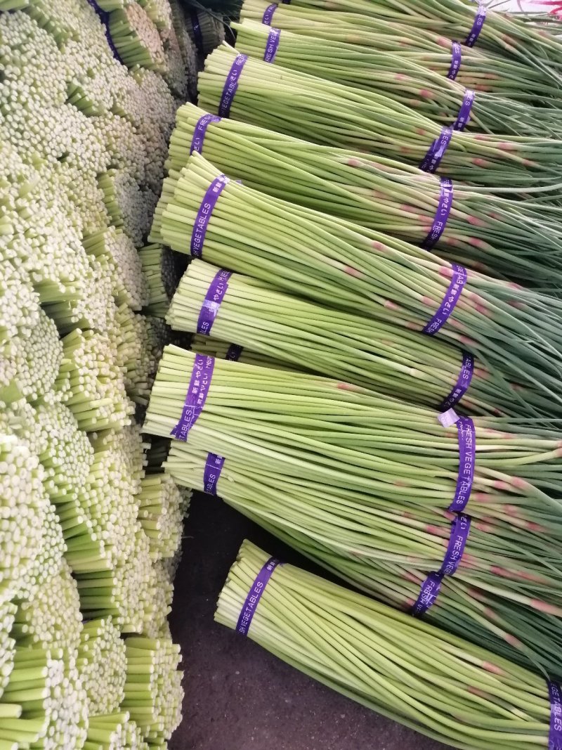蒜薹