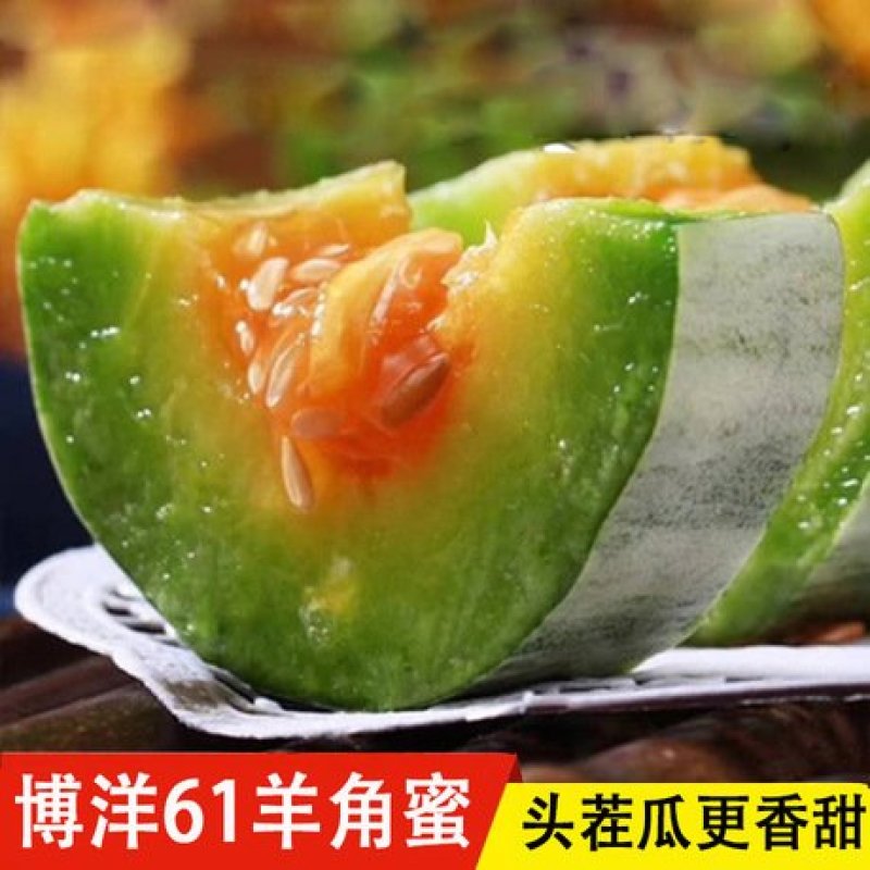 甜瓜61支持一件代发。可批货、代收、代发！