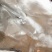 樟脑批发各种规格中药材冷药材
