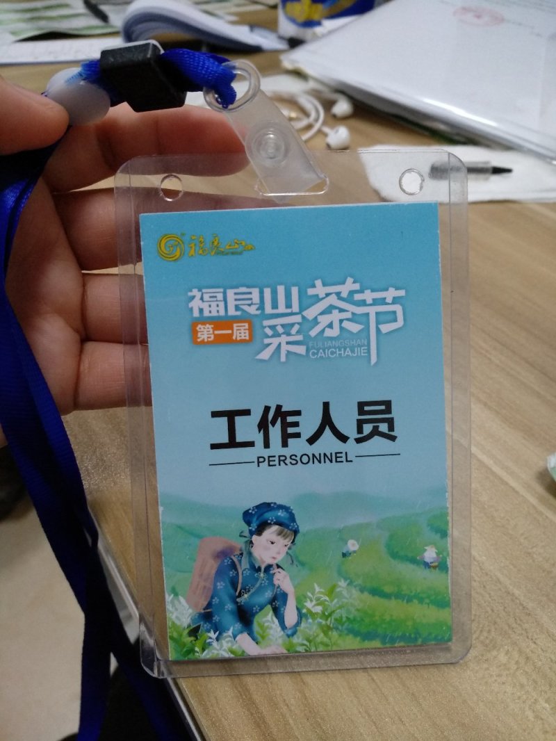 福良山鄂茶一号茶苗穴盘苗裸根苗容器苗批发