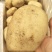 精品土豆丽暑6号精品诚心诚意代收代办