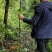 黄金山竹树苗，嫁接果苗岭南山竹苗包邮销售中