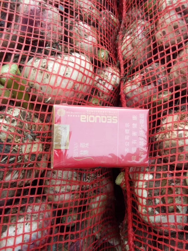 干蒜紫皮蒜皮毛好临沂大蒜扒皮蒜质量保证货源充足代发