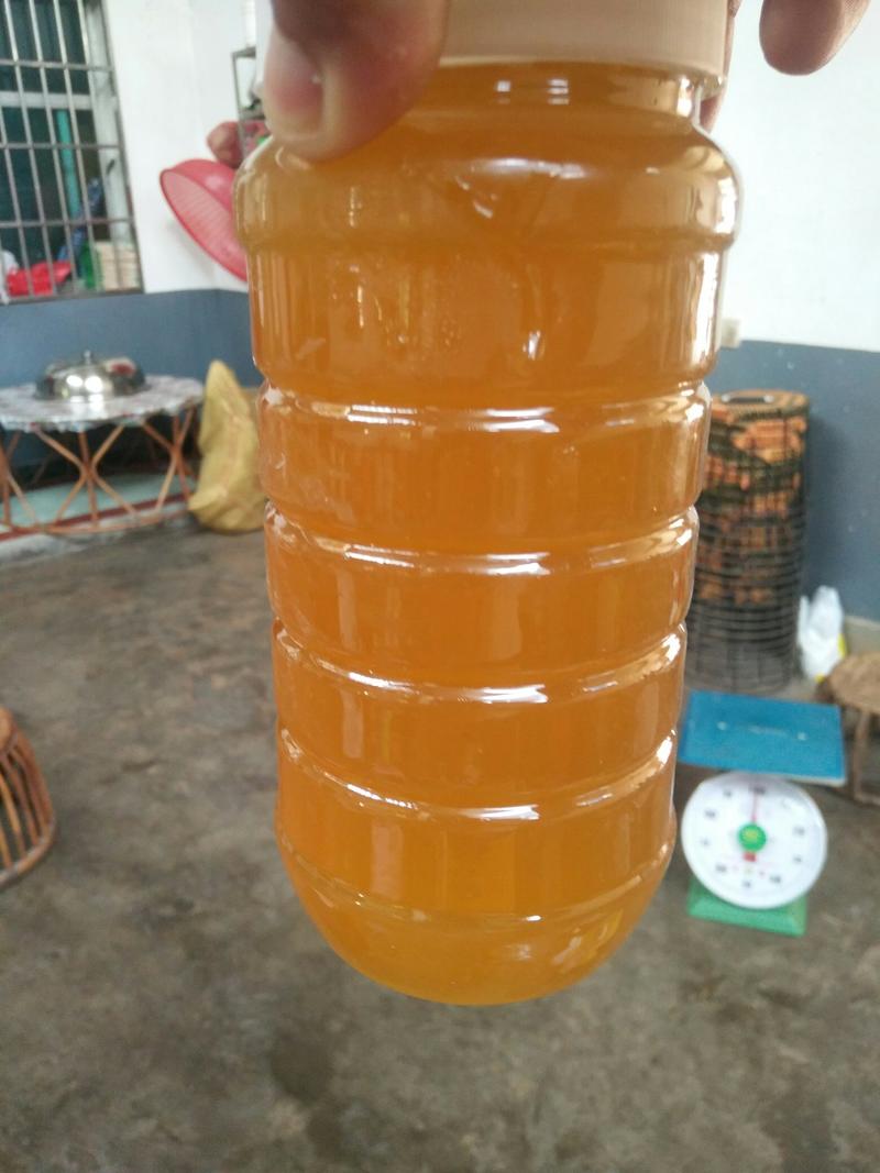 缅甸野生蜂蜜