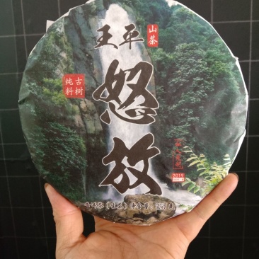 古树普洱生茶！