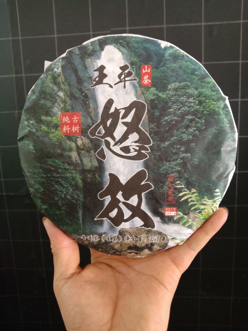 古树普洱生茶！